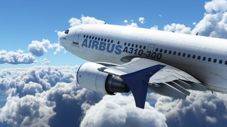flight