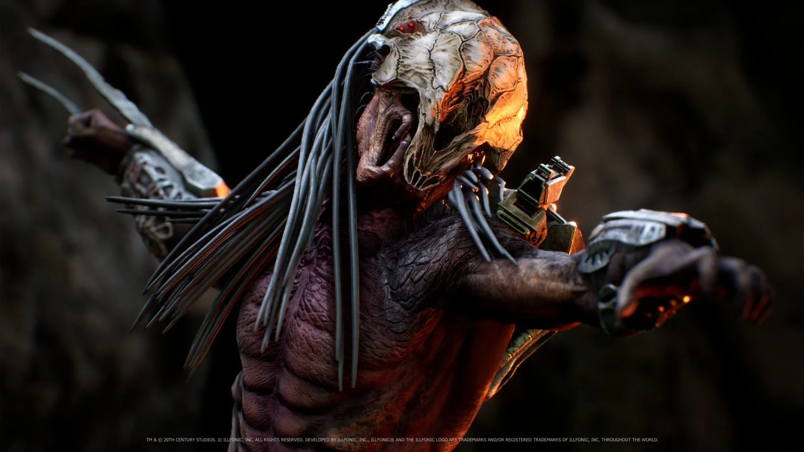 predator