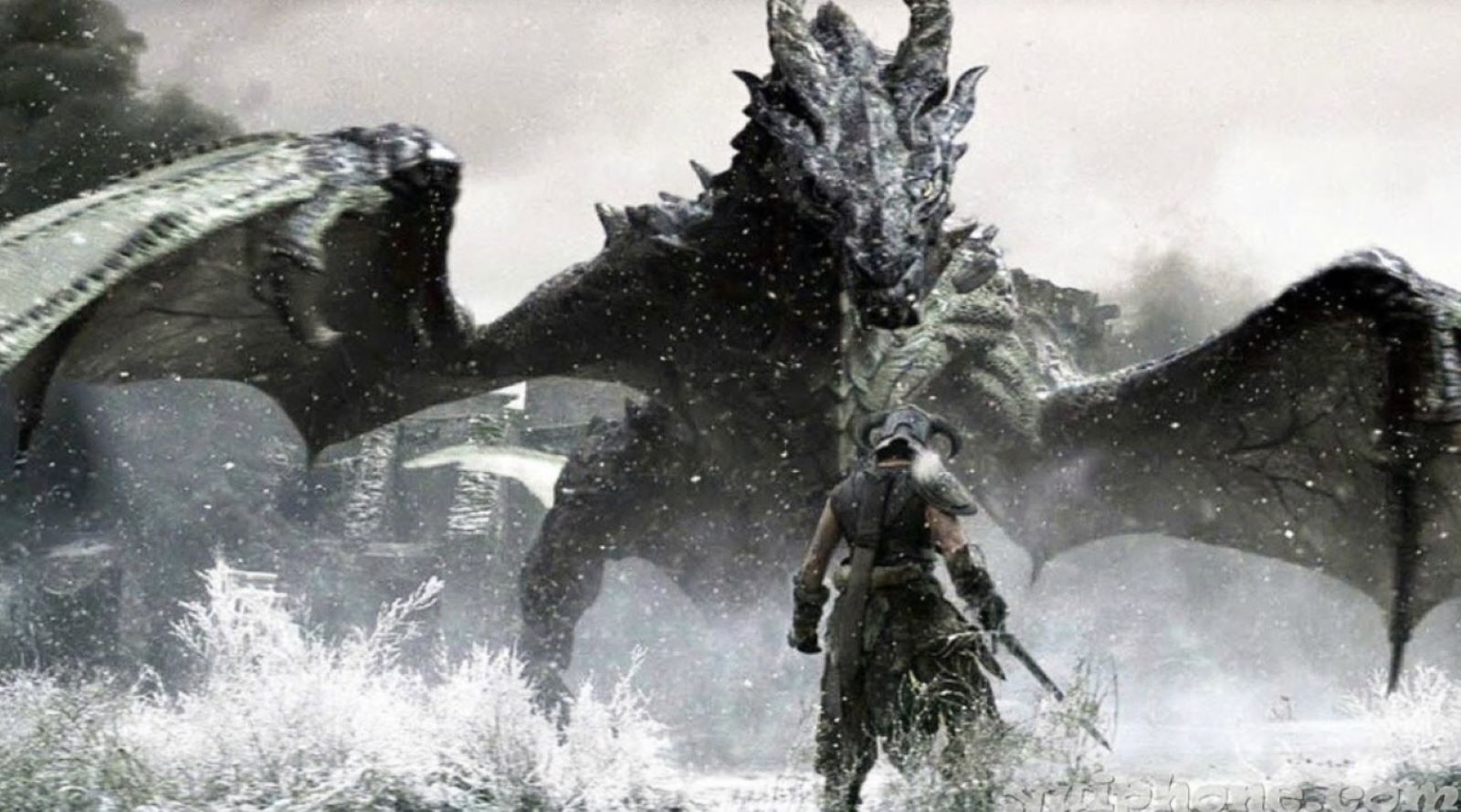 skyrim