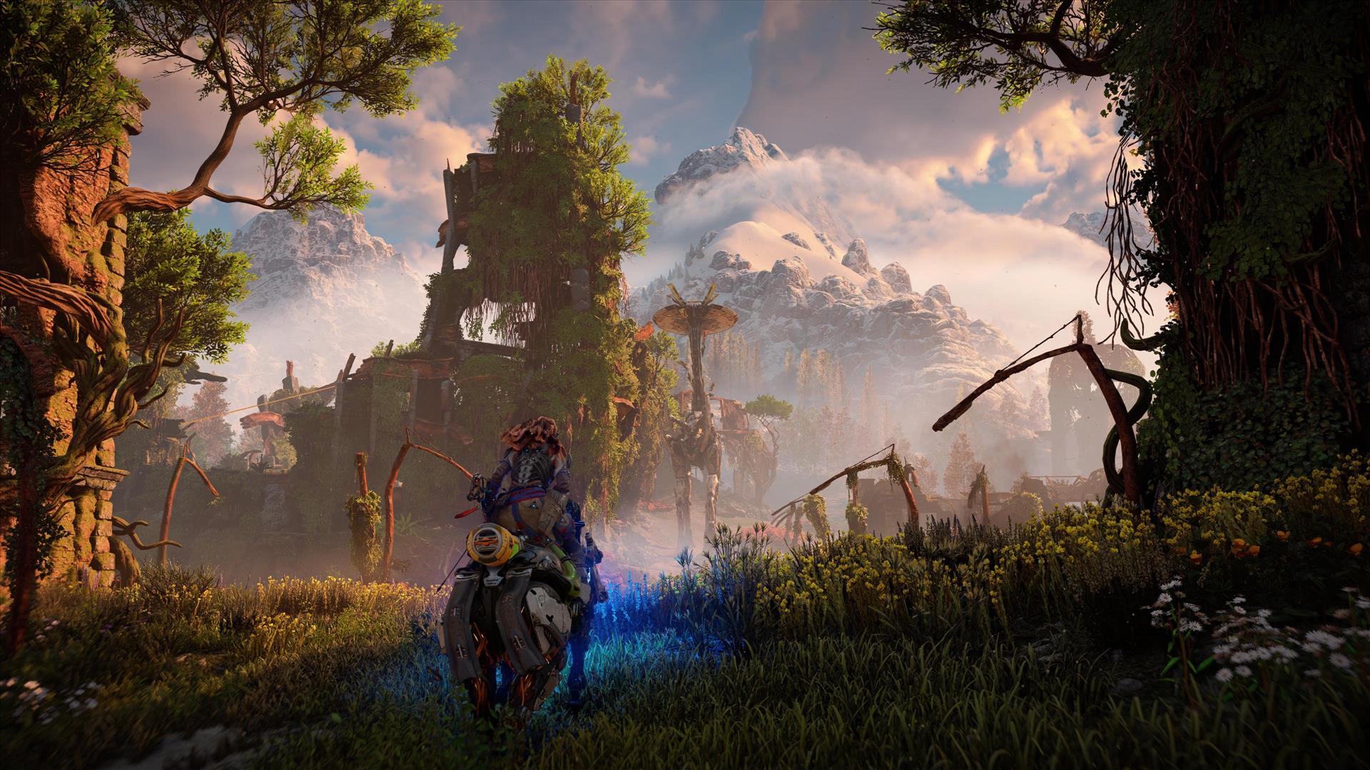 horizon1
