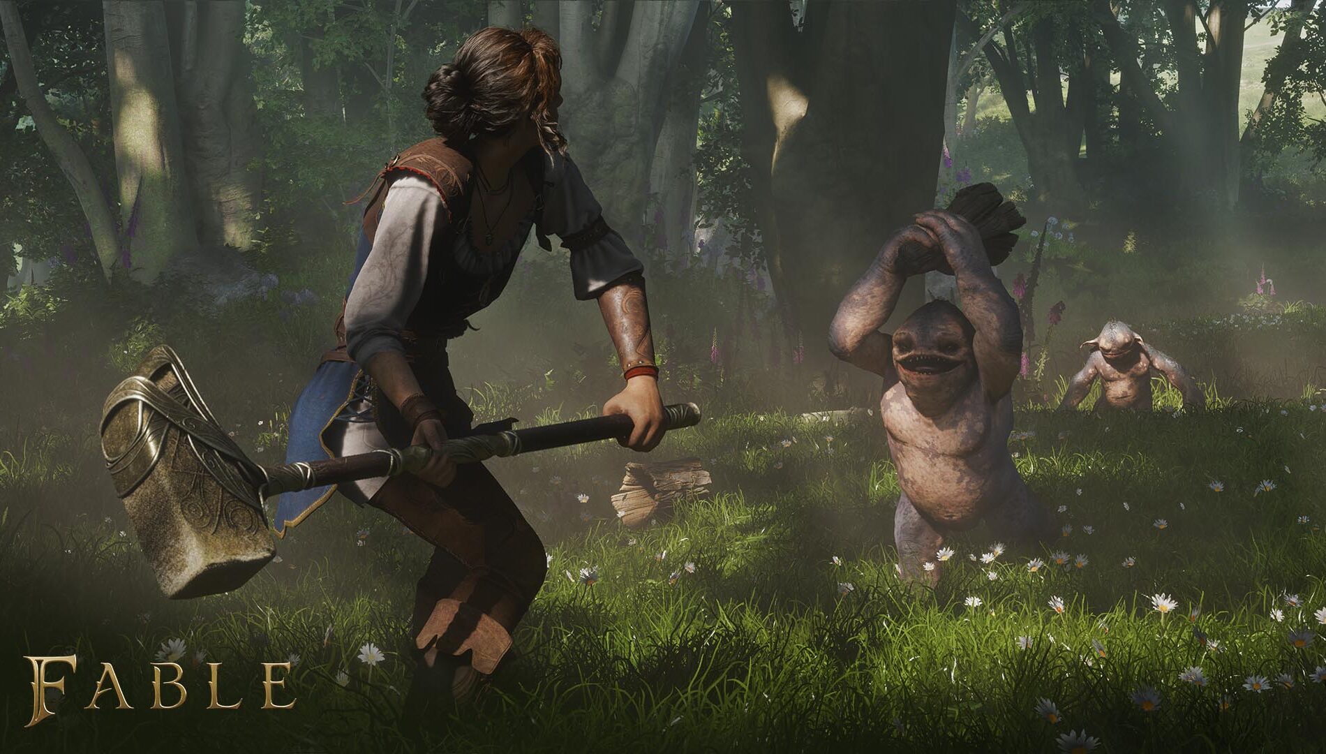 Fable fight ingame