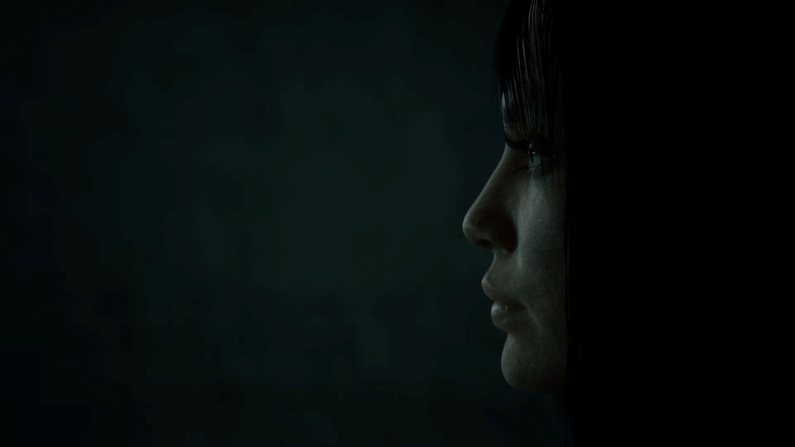 Abandoned PS Store return 2027